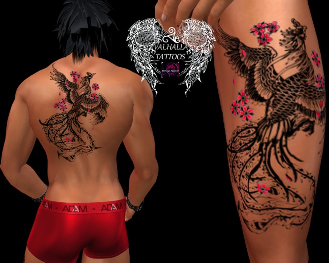 Asian Phoenix male Omega