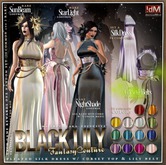 !dM BlackLily **LAPIS** Corset (BOX #10B LARA)