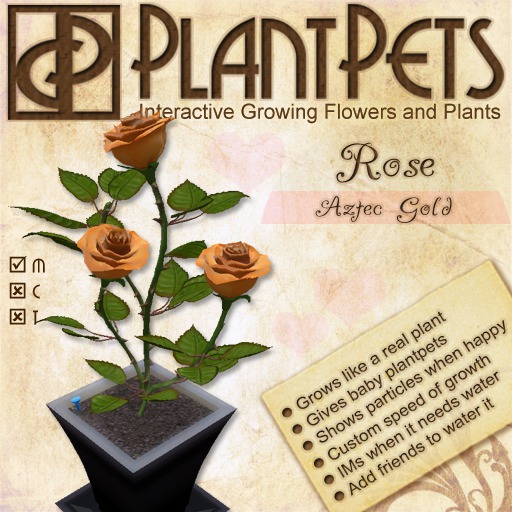PlantPet Seed [Rose *Aztec Gold*]