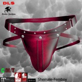 Shemale-Femboy leather panty berry boxed