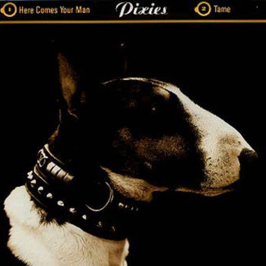walker // Pixies - Here Comes Your Man