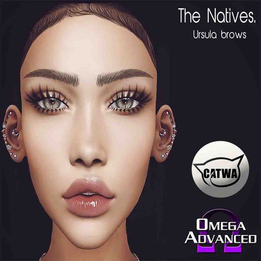 {TN} Ursula Brows Catwa/Omega{Add Me}