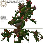 GD MESH FULL PERM FIGURE PLANT PRICKLY PEARS