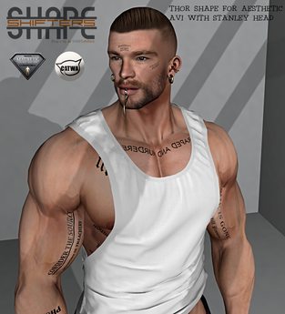 Second Life Marketplace - [SHAPEshifters] THOR SHAPE FOR AESTHETIC AVI ...