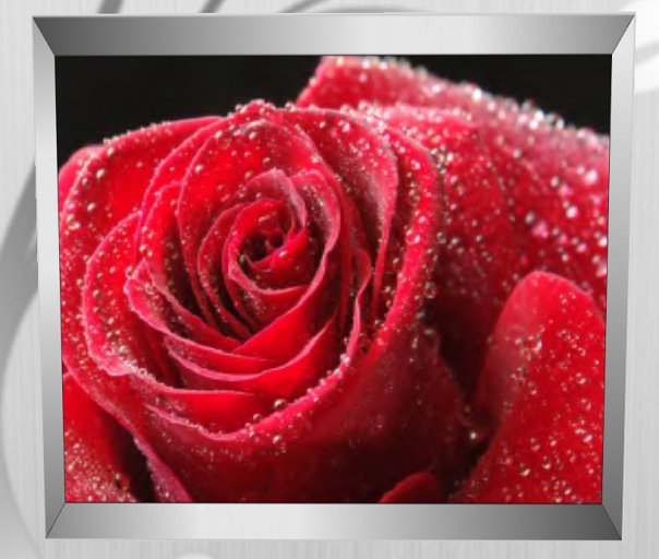 PROMO!!! H&B Creations picture frame Red Rose 2