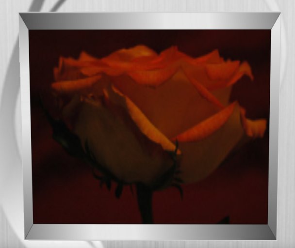 PROMO!!! H&B Creations picture frame Red Rose 3