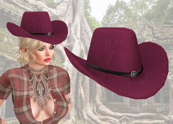 Maxi Jones - Pink denim Cowgirl Hat - shopping bag