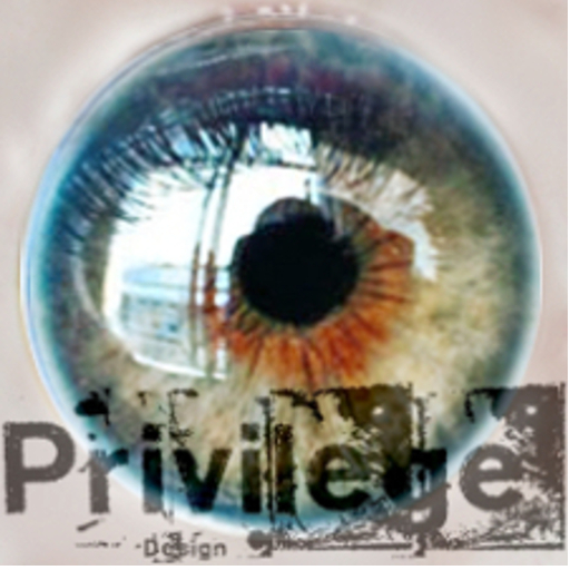 Privilege Window Reflection Eyes Bright Lawn