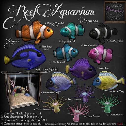 9. *HEXtraordinary* Powder Blue Tang