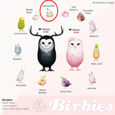 +Half-Deer+ Birbies - Matcha Milk