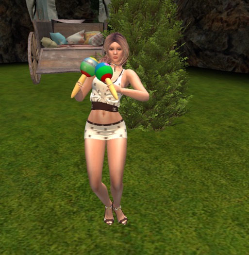 Maracas With Animation and Sound