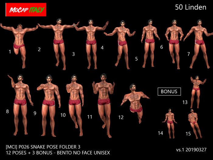 [MCI]-P026-Folder 03 - snake pose 3 - 12 poses + 3 bonus