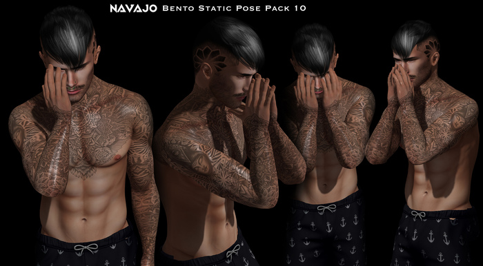 Navajo - Bento Static Pose Pack 10