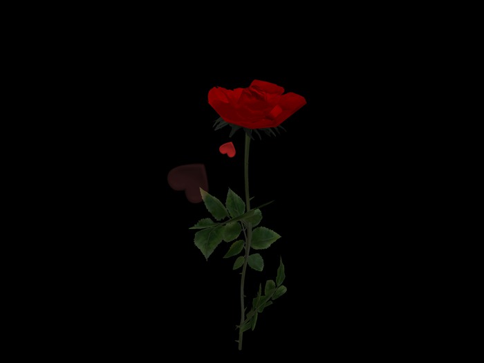 {Papillon} A Small Loving Rose