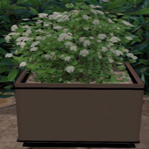 white flower bush planter