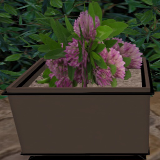pink flower bush planter