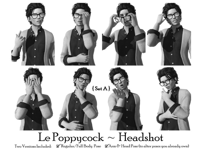 Le Poppycock *Headshot* Set A