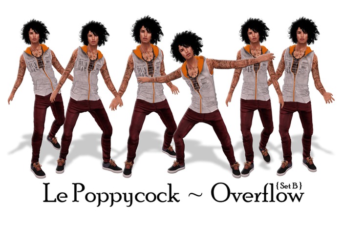 Le Poppycock *Overflow* Set B