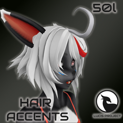 HAIR ACCENTS (LP)