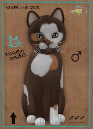 KittyCatS Box - Genesis - Patch - Toy