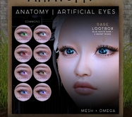 ANATOMY - ARTIFICIAL EYES - COMMON RAINBOW