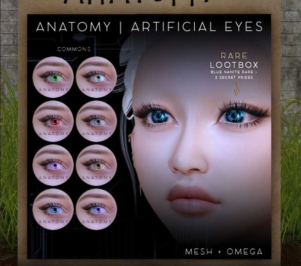 ANATOMY - ARTIFICIAL EYES - COMMON PURPLE