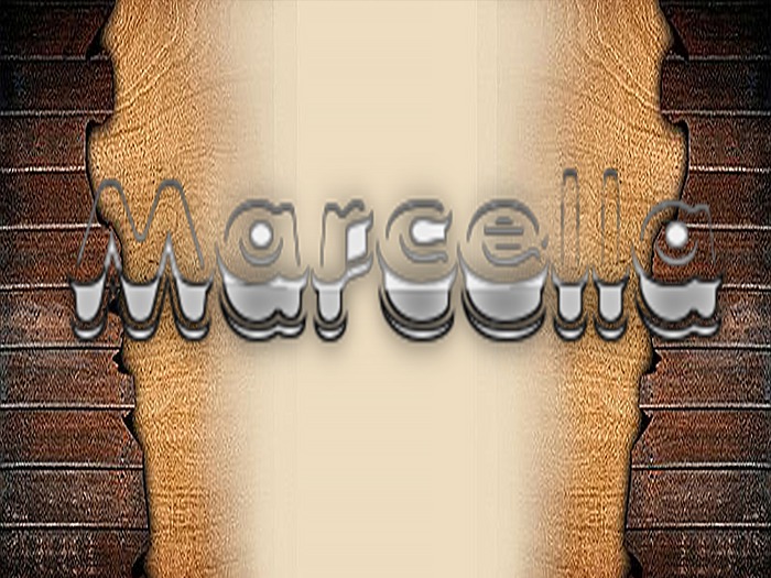 WOOD TEXTURE 4