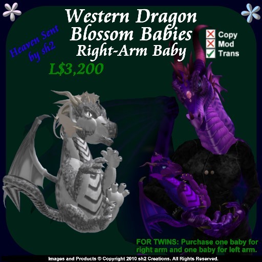 sh2 Western Dragon Blossom Baby Right v2.0