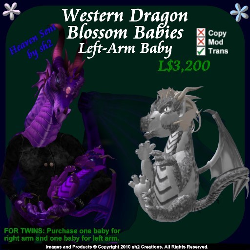 sh2 Western Dragon Blossom Baby Left v2.0