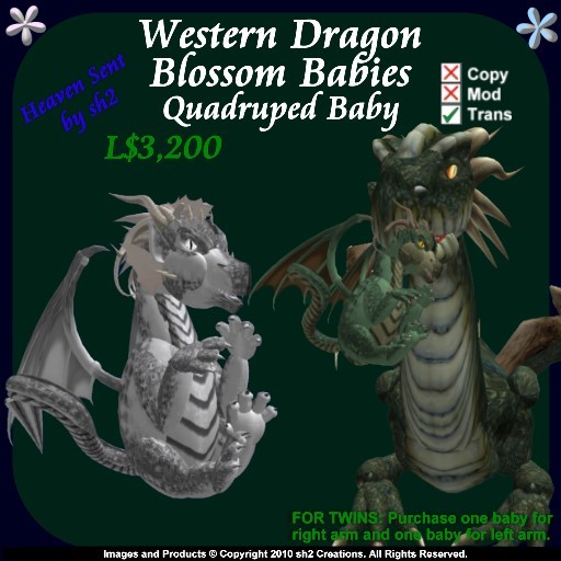 sh2 Western Dragon Quad Blossom Baby v2.0
