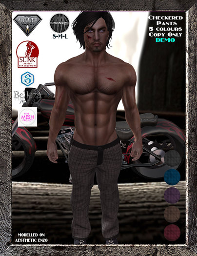 Mens Fitted Checkered Pants-DEMO-
