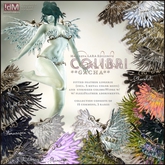 !dM Colibri **GOLDEN NIGHTINGALE** (BOX #11 LARA)