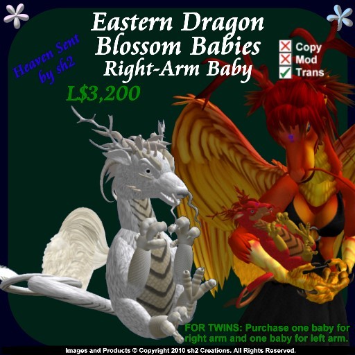 sh2 Eastern Dragon Blossom Baby Right v2.0