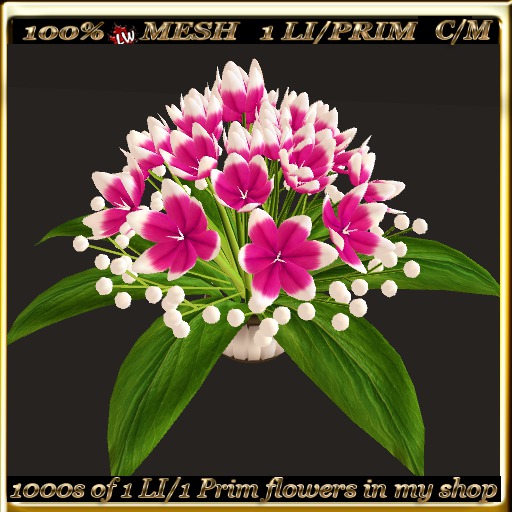 LW_ Decorative Tulips - 10