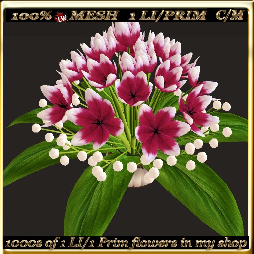 LW_ Decorative Tulips - 12
