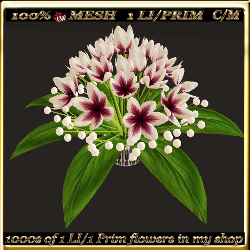 LW_ Decorative Tulips - 14