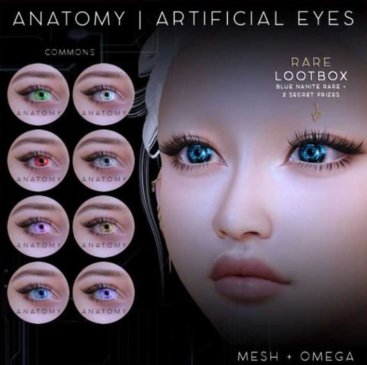 ANATOMY - ARTIFICIAL EYES - COMMON BLUE