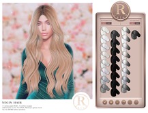 RAMA.SALON - Negin Hair 'Grayscales Colorant'
