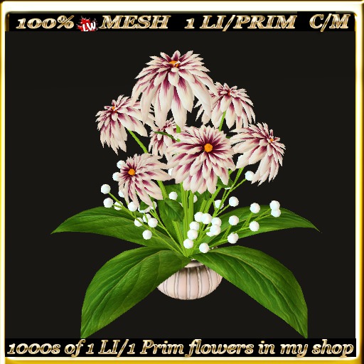 LW_ Decorative Dahlias - 1 (1 LI / 1 Prim)