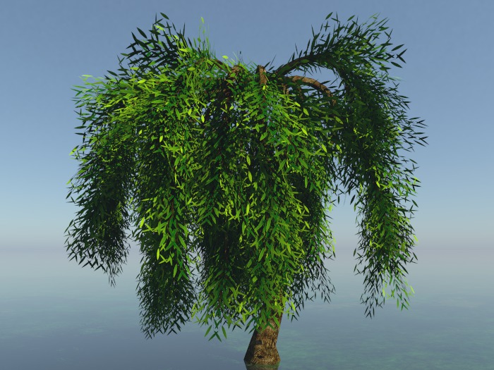 Animesh Willow, 3 Trees Bundle , all Seasons,  by Hayabusa Design