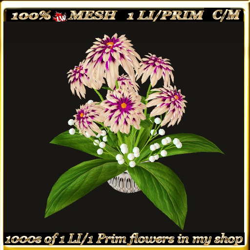 LW_ Decorative Dahlias - 18 (1 LI / 1 Prim)