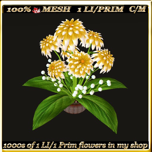 LW_ Decorative Dahlias - 19 (1 LI / 1 Prim)