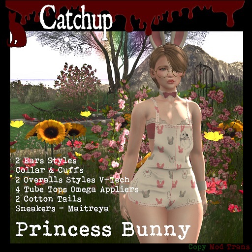 Catchup - Princess Bunny Outfit V-Tech (Wear & Touch to Unpack)