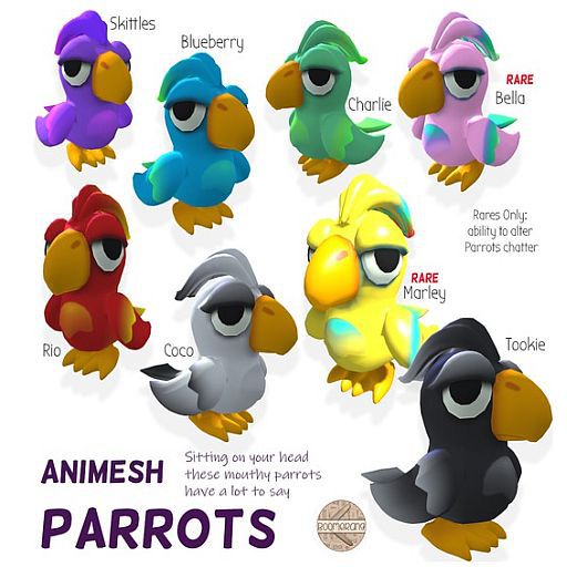 [Boomerang] - Marley Parrot Companion RARE Box