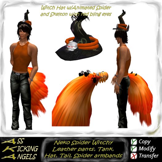 : AKA Neko Spider Witchy Halloween