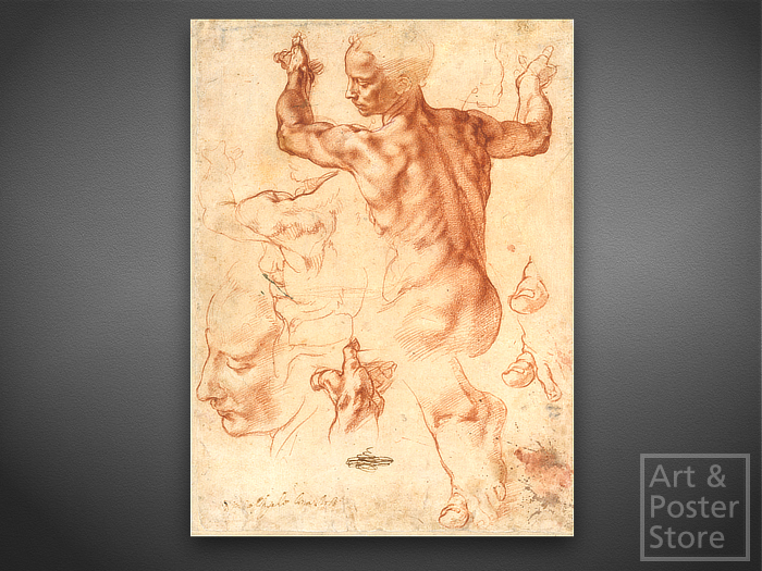 Michelangelo Study for Libyan Sibyl Classic Renaissance Drawing | Unframed Mesh Canvas