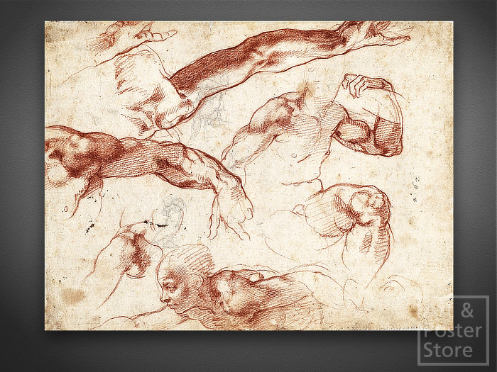 Michelangelo | Sistine Study Classic Renaissance Drawing | Unframed Mesh Canvas