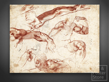 Michelangelo | Sistine Study Classic Renaissance Drawing | Unframed Mesh Canvas
