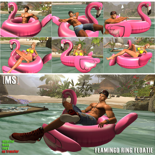 [MS] Flamingo Ring Floatie