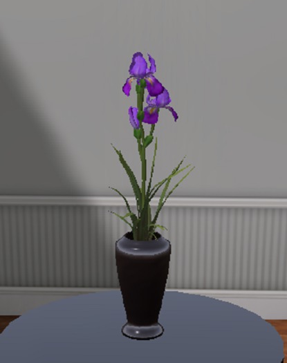 Purple Bearded Iris Arrangement (ADD)